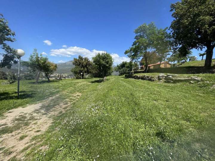 Join Horseback Rides in Corte