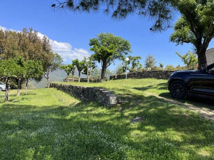 Horseback Riding Corte