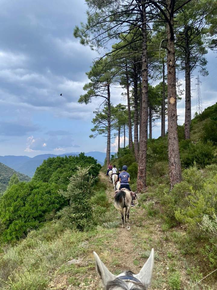 Horseback Riding Corte
