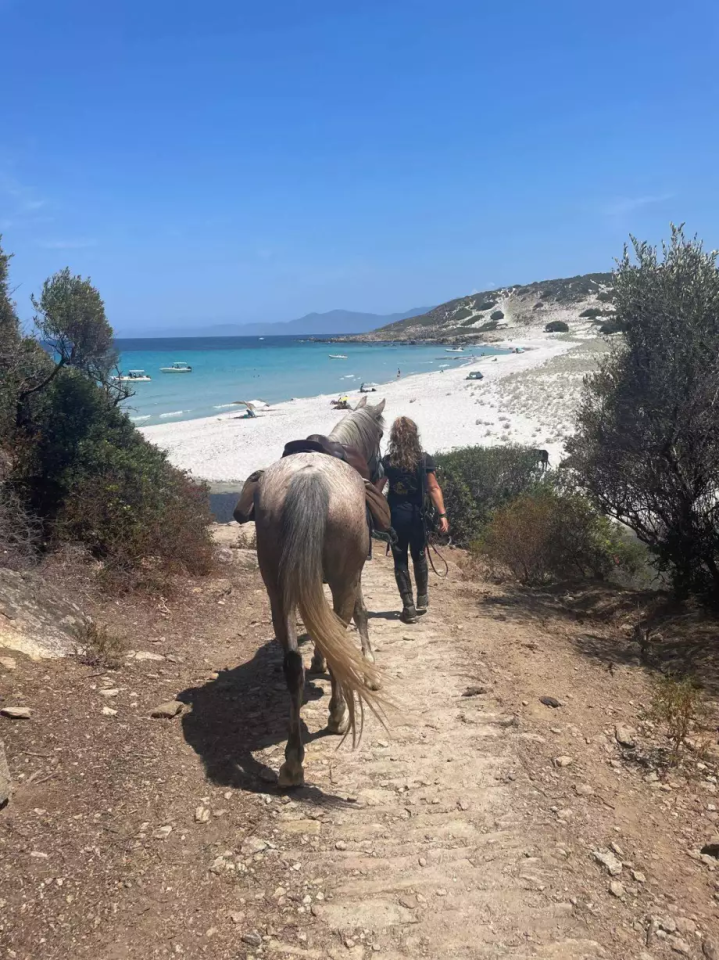 IMG 20240717 WA0007 4e58 xxl