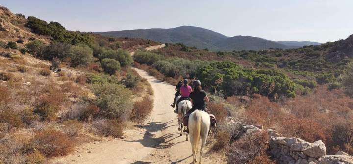 IMG 20240717 WA0028   Copie