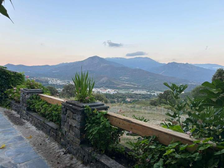 Horseback Riding Corte