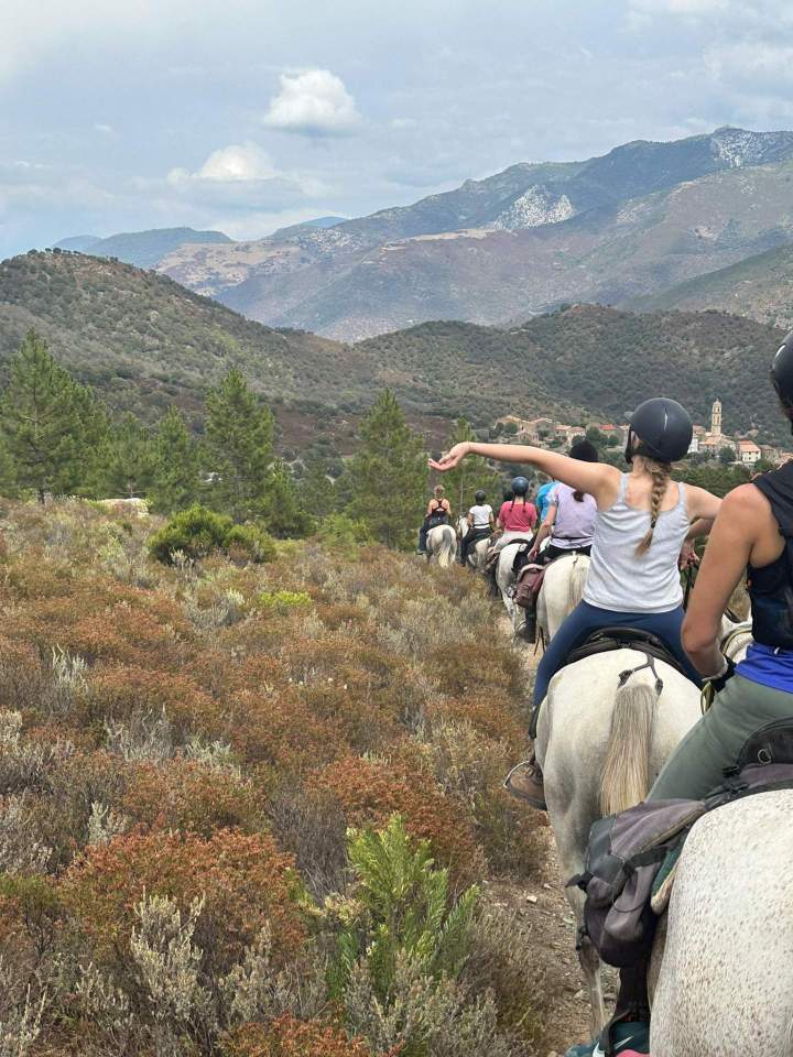 Join Horseback Rides in Corte