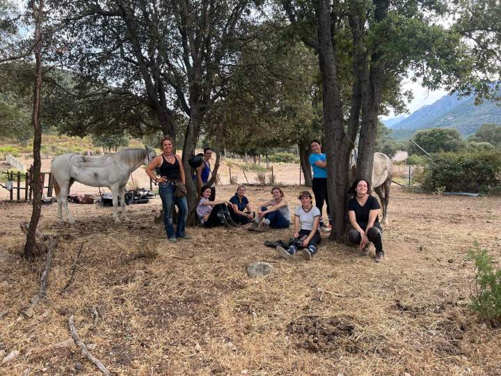Join Horseback Rides in Corte