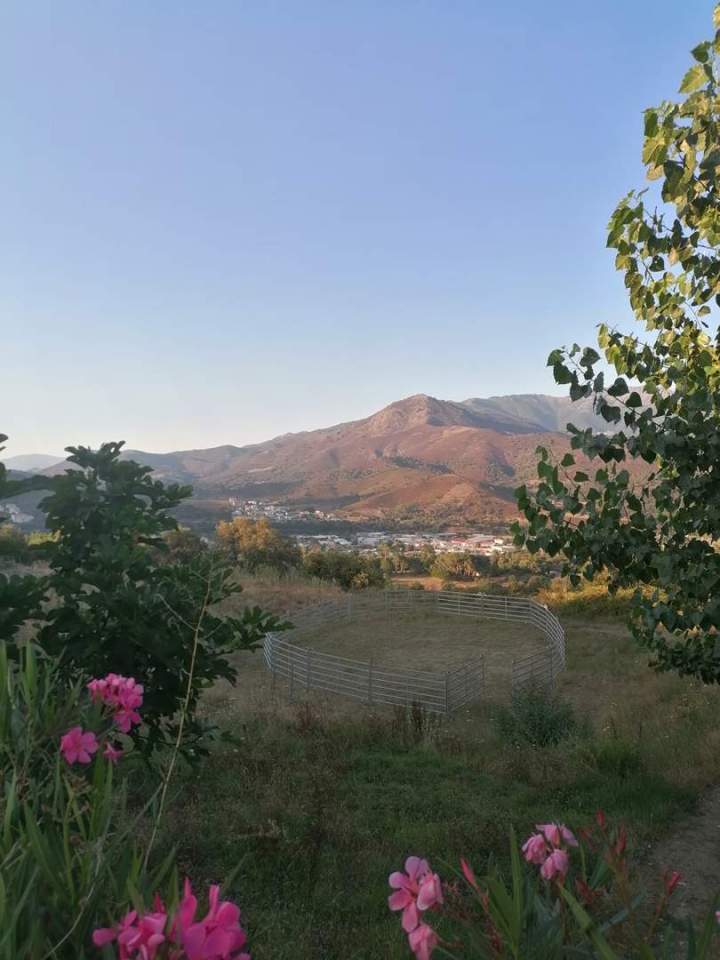 Randonnée équestre Corte