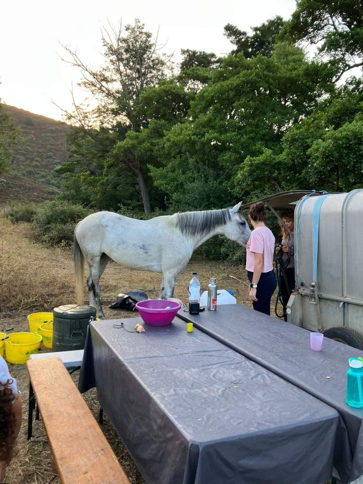 Horseback Riding Corte