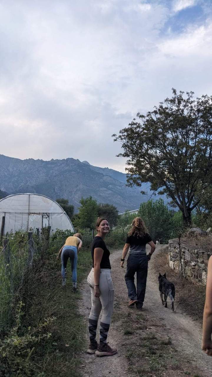 Horseback Riding Corte
