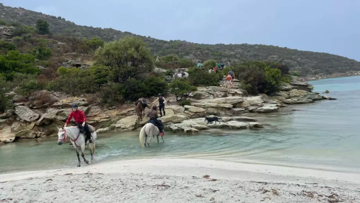 IMG 20240905 WA0081 855c xxl