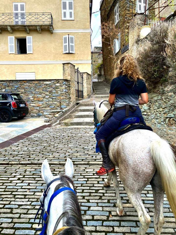 Horseback Riding Corte