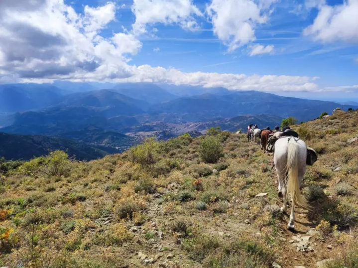 IMG 20240907 WA0039 db67 xxl