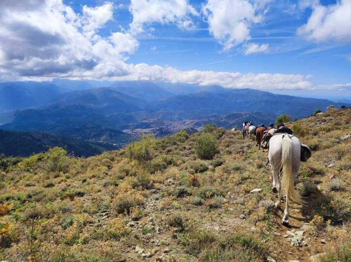 Join Horseback Rides in Corte