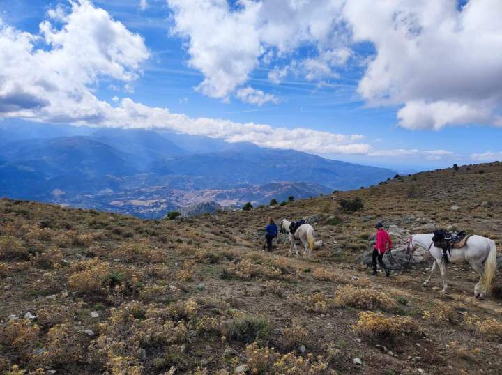 Horseback Riding Corte