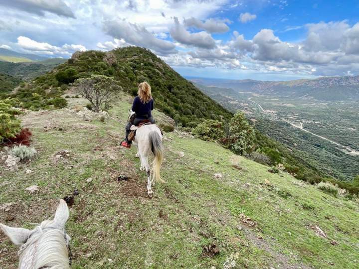 Join Horseback Rides in Corte