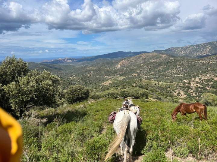 Horseback Riding Corte