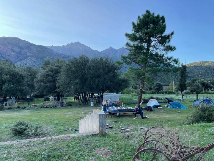 Horseback Riding Corte