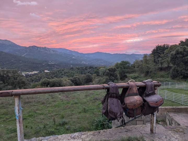 Join Horseback Rides in Corte
