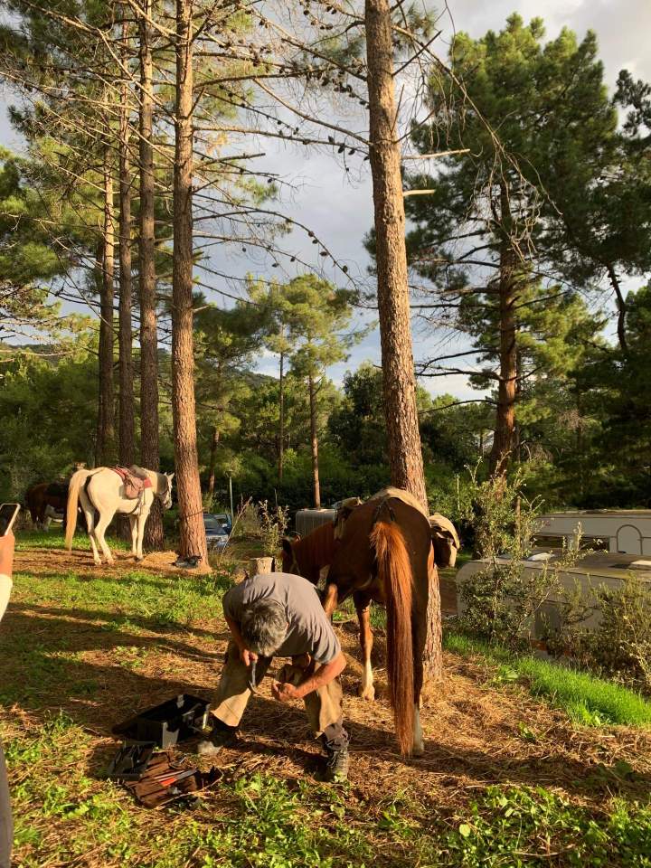 Join Horseback Rides in Corte