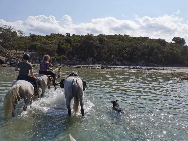 Horseback Riding Corte