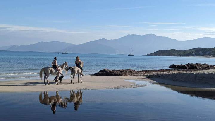 IMG 20241001 WA0063   Copie