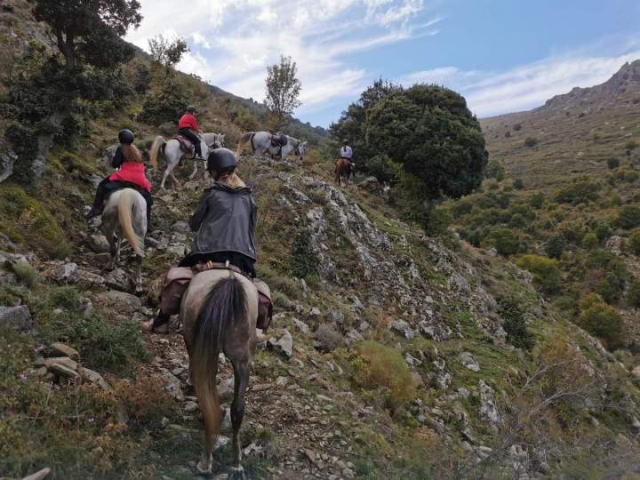 Join Horseback Rides in Corte
