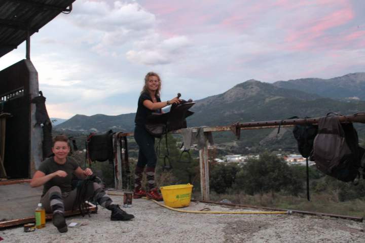 Join Horseback Rides in Corte