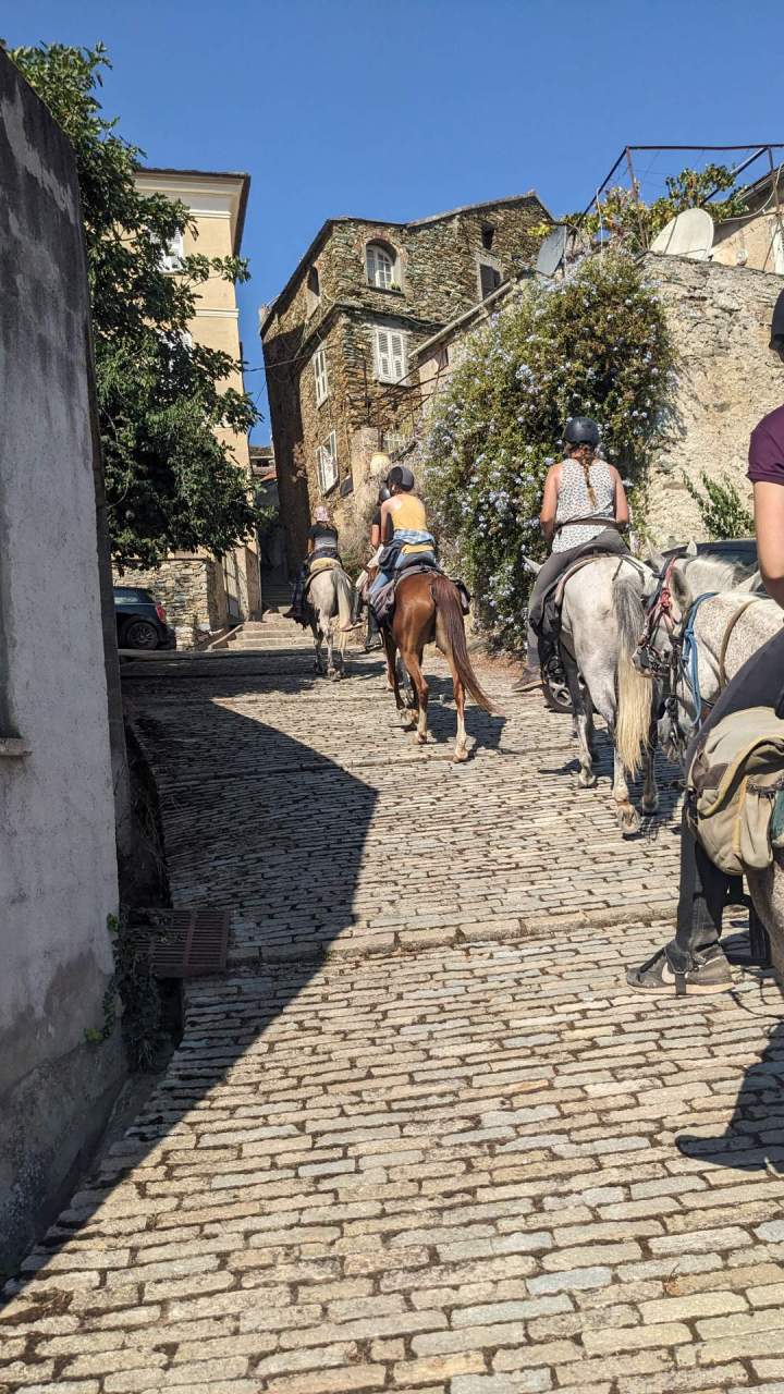 Horseback Riding Corte