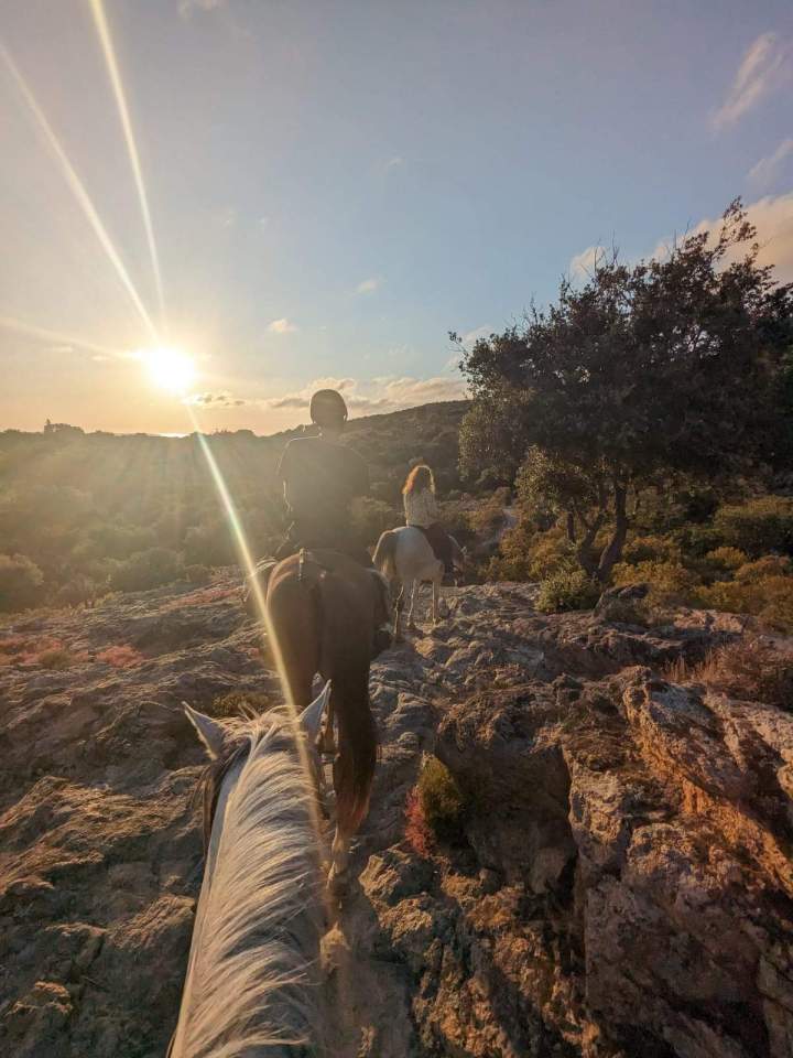 Horseback Riding Corte