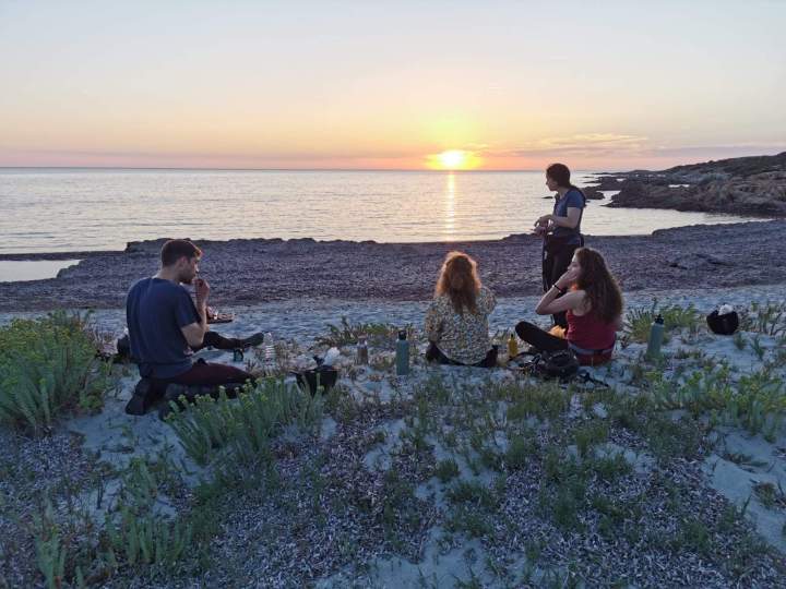 Horseback Riding Corte