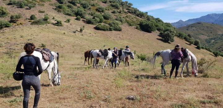 Join Horseback Rides in Corte
