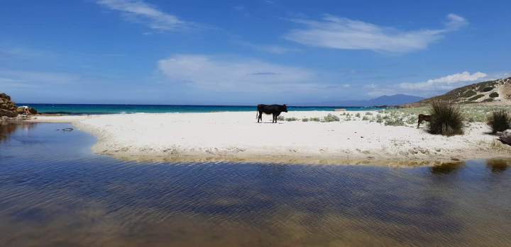 WhatsApp Image 2024 06 12 at 20.32.26