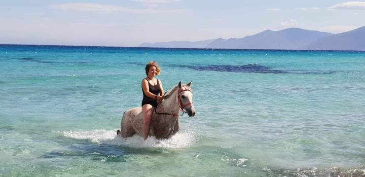 Join Horseback Rides in Corte