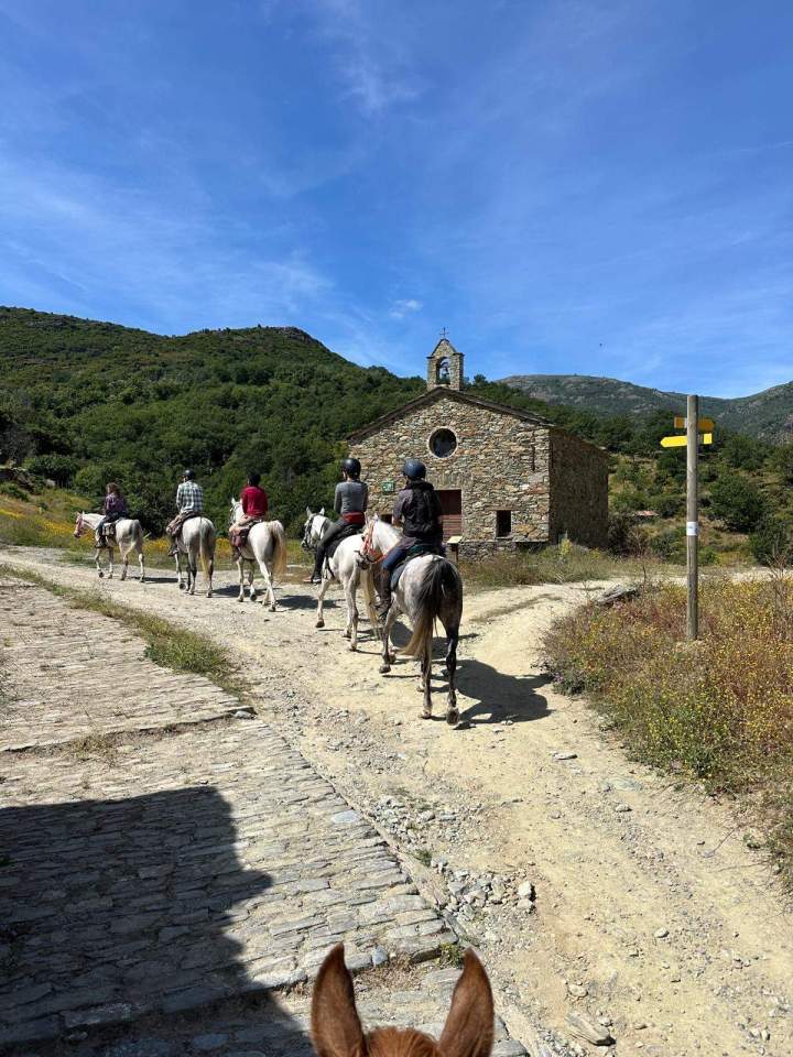 Horseback Riding Corte
