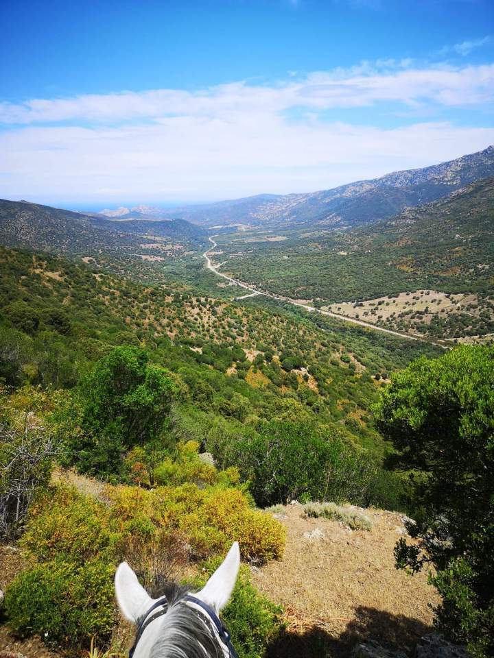 Horseback Riding Corte