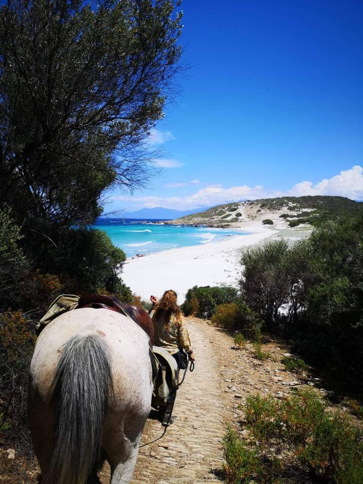 Join Horseback Rides in Corte