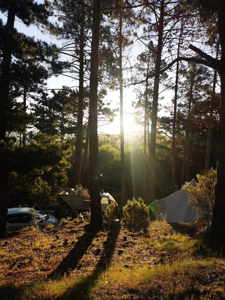 WhatsApp Image 2024 06 16 at 19.34.18