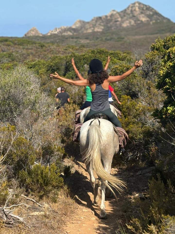 Horseback Riding Corte