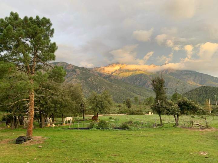 Join Horseback Rides in Corte