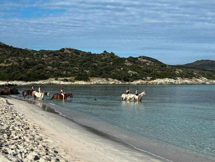 Horseback Riding Corte