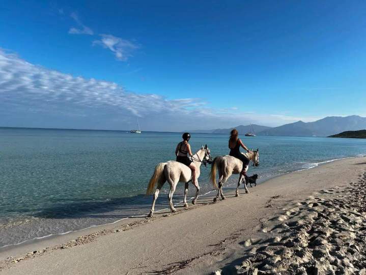Horseback Riding Corte