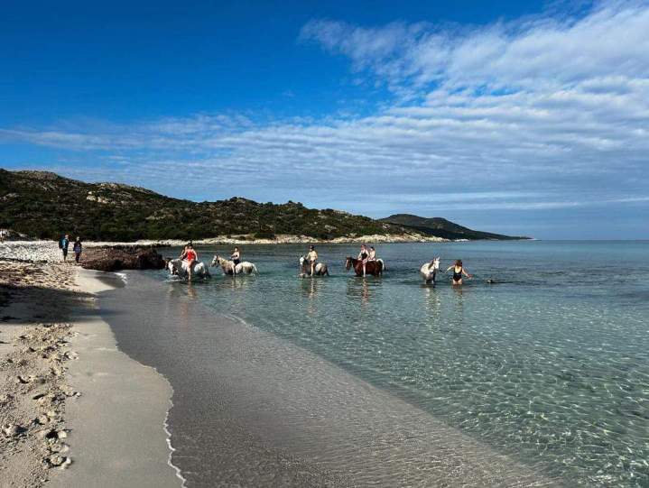 Join Horseback Rides in Corte