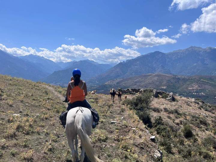 WhatsApp Image 2025 08 05 at 16.23.40   Copie