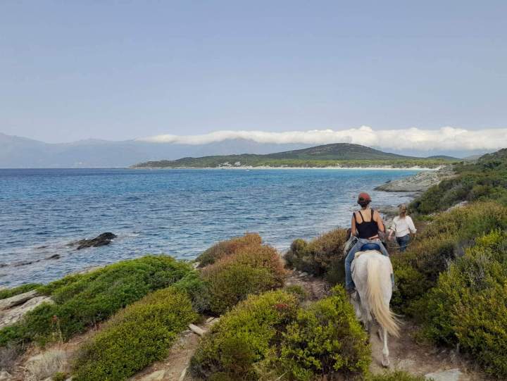 WhatsApp Image 2025 09 09 at 11.29.00   Copie