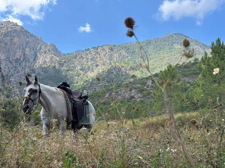 WhatsApp Image 2025 09 09 at 11.29.01