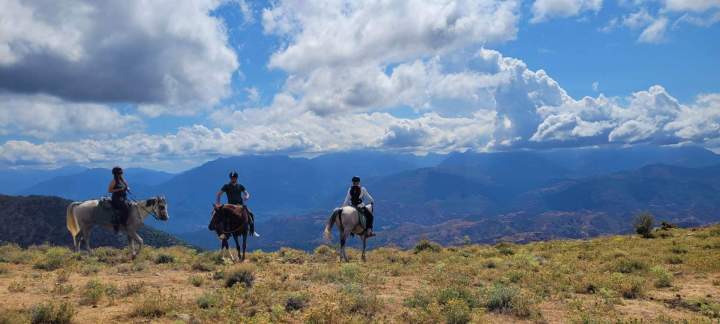 WhatsApp Image 2025 09 09 at 11.29.15