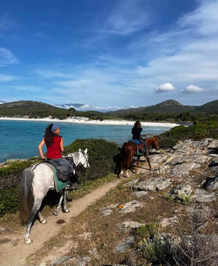 WhatsApp Image 2025 09 09 at 11.29.17   Copie