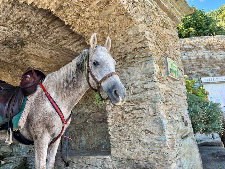 WhatsApp Image 2025 09 24 at 15.23.49 (1)