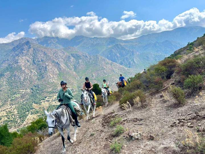 WhatsApp Image 2025 09 24 at 15.23.50 (1)