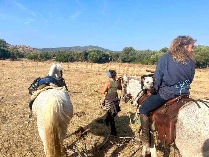 WhatsApp Image 2025 09 24 at 15.24.07 (2)