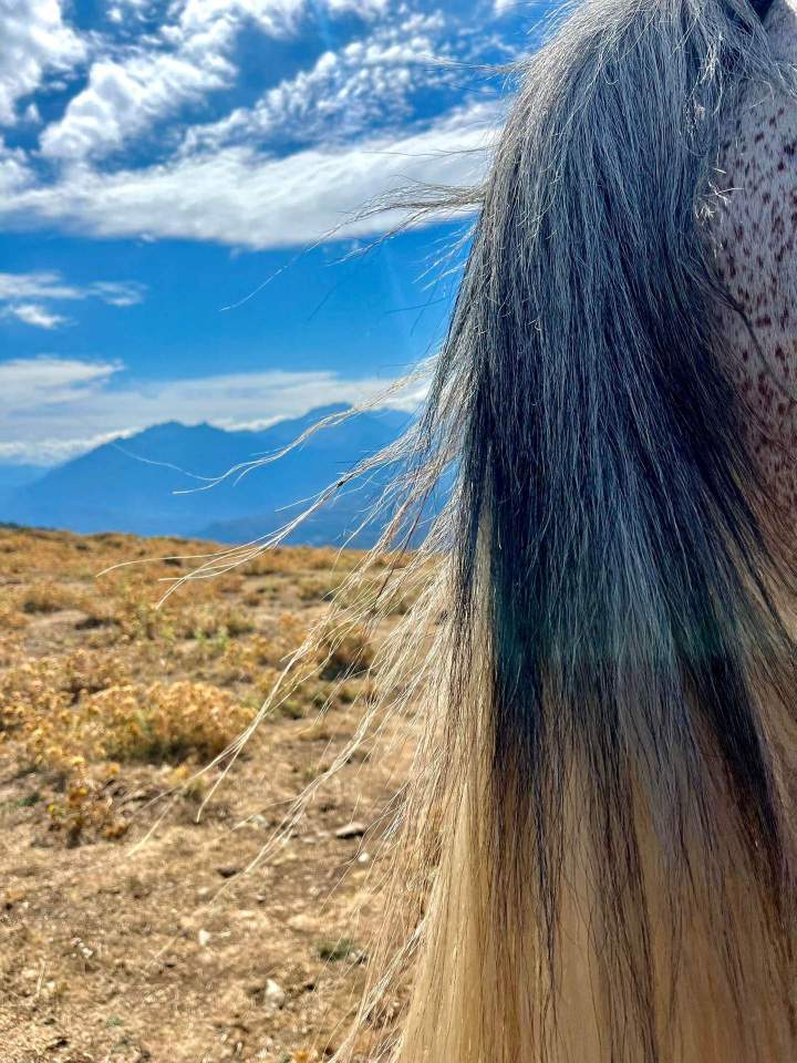 WhatsApp Image 2025 09 24 at 15.24.07