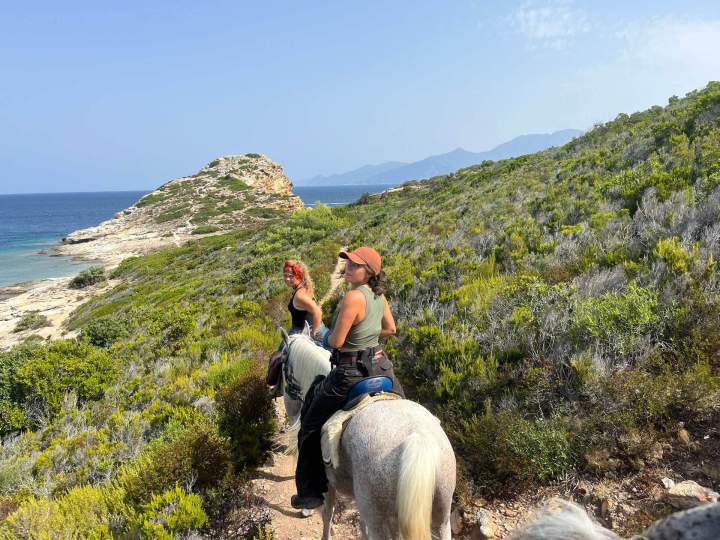 WhatsApp Image 2025 09 24 at 15.25.31